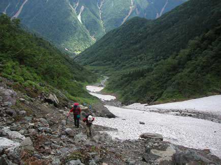 大樺沢ののぼり